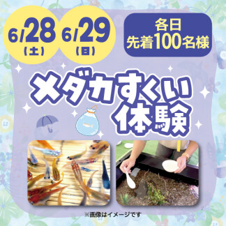 ★メダカすくい体験★