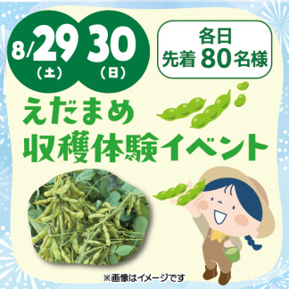 ★えだまめ収穫体験★
