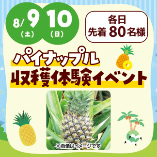 ★パイナップル収穫体験★