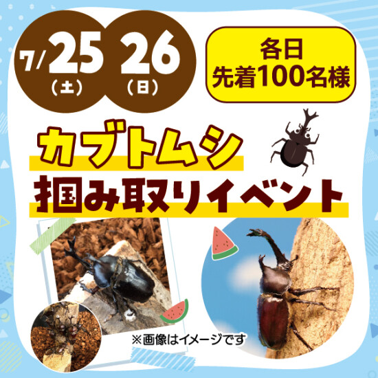 ☆カブトムシ掴み取りイベント☆ | イベント＆ニュース | 西新井駅西口