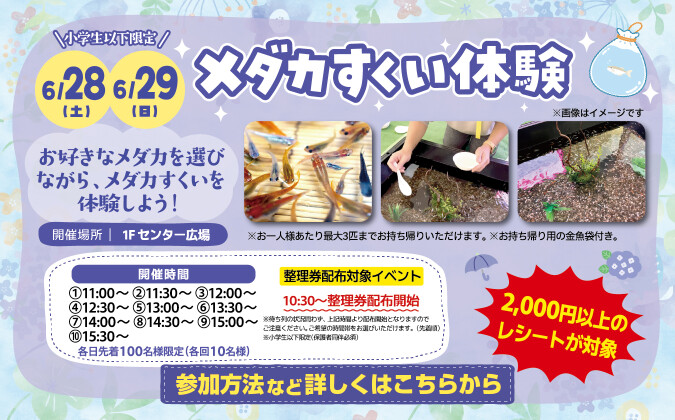 メダカすくい体験
