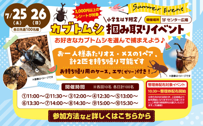カブトムシつかみ取りイベント