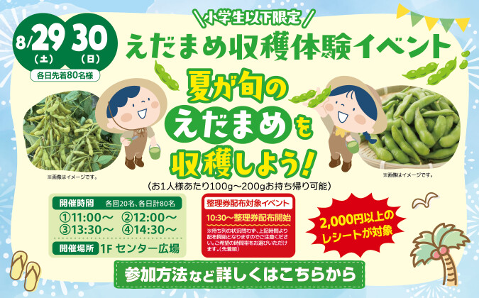 えだまめ収穫体験
