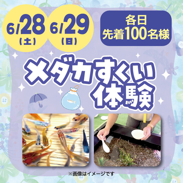 ★メダカすくい体験★