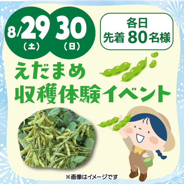 ★えだまめ収穫体験★